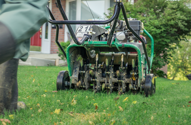Eadwiella Lawn Coring Aerator - 4-Core Manual Spike Aerator With Hardwood Handle